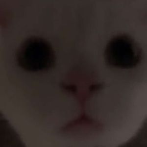 Meet your Posher, Erick